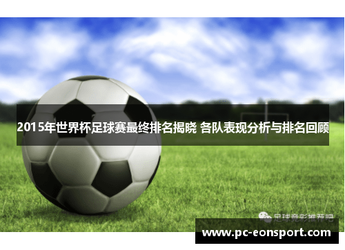2015年世界杯足球赛最终排名揭晓 各队表现分析与排名回顾