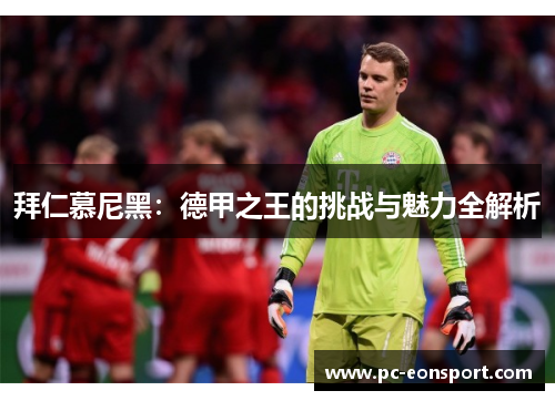 拜仁慕尼黑：德甲之王的挑战与魅力全解析