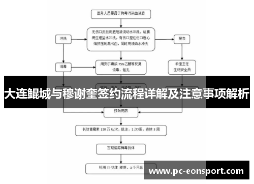 大连鲲城与穆谢奎签约流程详解及注意事项解析