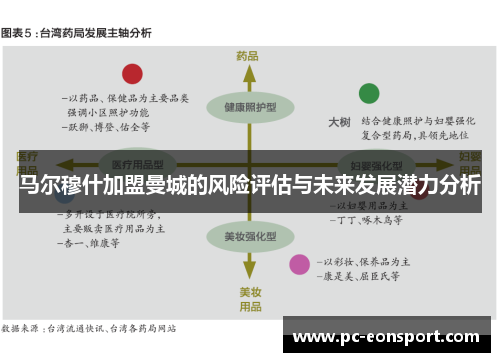 马尔穆什加盟曼城的风险评估与未来发展潜力分析