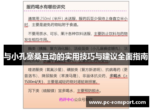 与小孔塞桑互动的实用技巧与建议全面指南