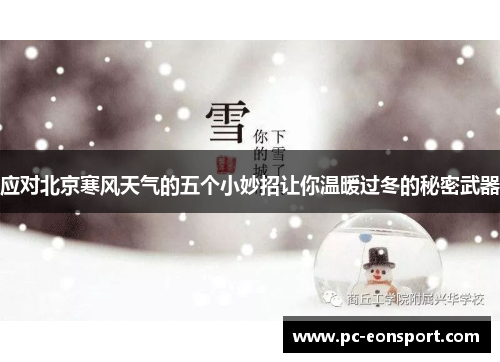 应对北京寒风天气的五个小妙招让你温暖过冬的秘密武器