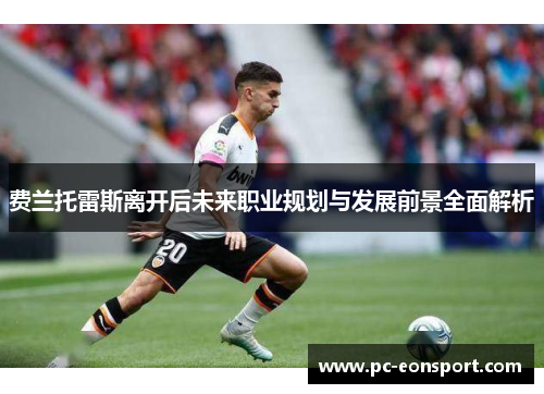 费兰托雷斯离开后未来职业规划与发展前景全面解析